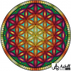 KANVAS TABLO 32-10